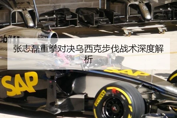 张志磊重拳对决乌西克步伐战术深度解析