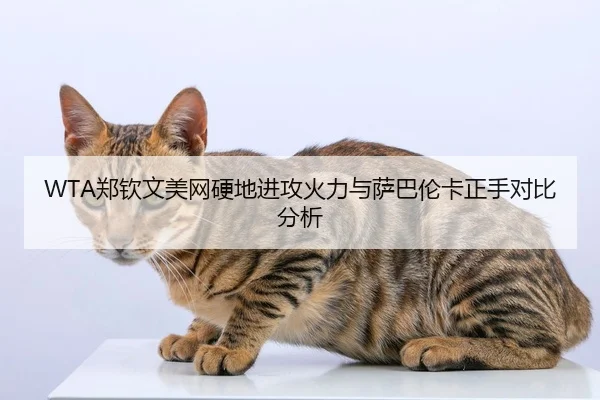 WTA郑钦文美网硬地进攻火力与萨巴伦卡正手对比分析